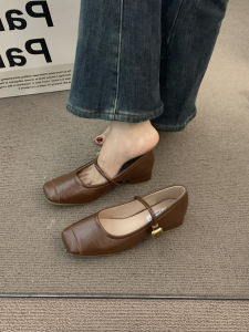 Brown Mary Jane mid Heel Retro Shoes Womens Fashion Single Shoes Comfortable Grandmother Style Spring Autumn Commute Shoes