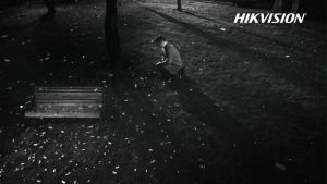 HIKVISION DS-2CD1347G0-L 4 MP Fixed Dome Network Camera HIKVISION Camera