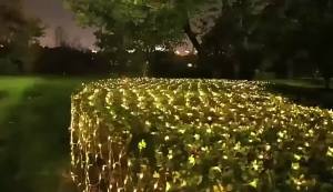 DC 24V LED Net Mesh Fairy String Light 1.5x1.5M 3x2M 6x4M IP44 8 Modes With Timer Memory Outdoor Indoor Curtain Lighting