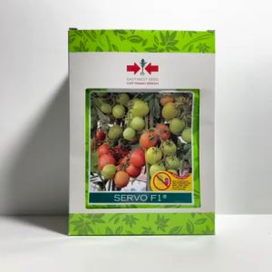 Benih Tomat SERVO F1 Isi 1750 Butir Cap Panah Merah