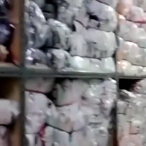 Setelan Anak Perempuan Kargo crop Motif Bellarina Capuccina Usia 1-8 tahun Set Anak Cewek terbaru