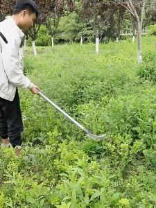 เคียวเกี่ยวหญ้า เคียวเกียวไม้ เคียวสวน เคียวอเนกประสงค์ ทำจากเหล็