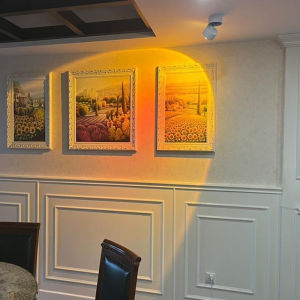 Led Downlight Spot Down Light AC 110V-220V COB Sunset Spotlight Surface Recessed Ceiling Lamp for Home Decor Living Room Hallway