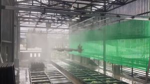 Béc 4 hướng phun sương chân ren 21 nối ống pvc nhựa loại 1 có Logo dập chìm