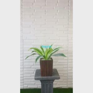 Tanaman Hias Daun Pandan Bali X12 Plastik Artificial Pot Kotak Motif Kayu Pajangan Dekorasi Ruangan