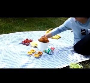 Fly Repellent Fan Automatic Electric Trap Outdoor Bug Repeller Pest Fan Vegetable Food Protector Flycatcher Pest Control Catcher