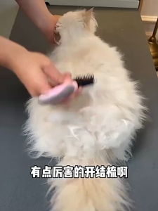 Pet detangling comb long hair scraperhair thinning and shedding remover cat and dog grooming tool82026