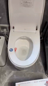 ฝารองนั่งชักโครกแบบมีซิป ซักได้ กันน้ำ กลิ่นอโรมาเธอราพี ฝารองนั่งชักโครกแบบสองด้าน สะดวกสบายในฤดูร้อน พร้อมที่จับ