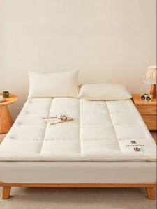 JIEMAIYA | Soft Home Bedroom Mattress Pad 180x200cm
