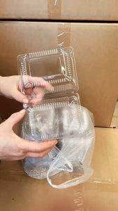 100 Pcs Rectangle Clear Plastic Clamshell Strawberry Burger Cake Box Pastry Packaging Box Food Container