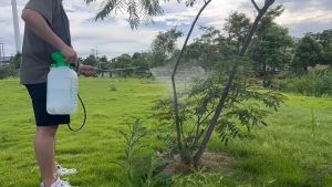 5 LITER / 8LITER GARDEN PRESSURE PUMP SPRAYER AND PLASTIC PESTICIDE CONTROL LAWN