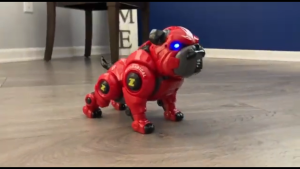 SG Boys Robot Dog Remote Control Rechargeable Programming Stunt Robot Dog