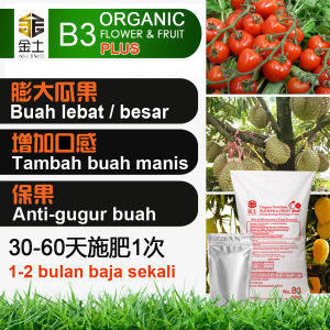 Kim Two B3 PLUS Baja Flower & Fruit Organic Fertilizer 1KG