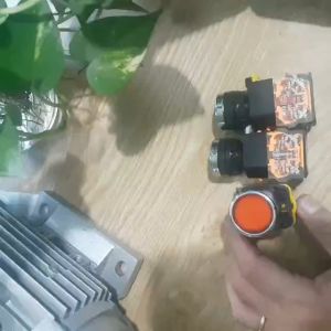 Nút nhấn nhả không đèn ON OFF phi 22  1NO 1NC