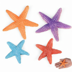 Educational Cognition Baby Starfish Model