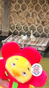(Rumah Grosir) Gantungan Kunci Boneka Upset Duck Bunga Bebek Cute