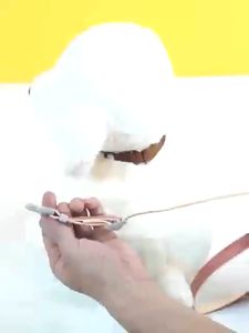 Bộ Ba Lô Và Dây Dắt Thú Cưng Đi Dạo Ngoài Trời Bằng Vải Polyester