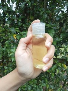 minyak daun cengkeh (clove leaf oil)