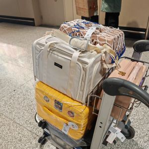 Pet Air Travel Cat Bag Soft Bag Large Space Cabin Handheld Cat Bag Portable Outing Pet Transport Bag Cat Nine Sauce Brand