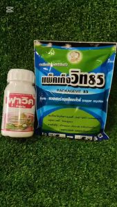 โรคมะนาว รักษา แคงเกอร์มะนาว แคงเกอร์ มะกรูด ส้ม ขี้กาก ใบจุด ราสนิม ใบไหม้ จุดนูนสนิม น้ำตาลเข้ม ผลดำ