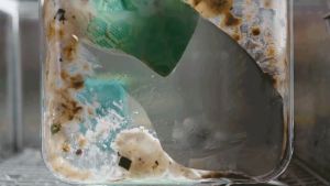 [Bundle of 2] Scotch-Brite® SDHD-2 EN Scrub Dots Heavy Duty Sponge 2pc