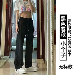 Gray Wide Leg Pants Womens Casual Loose Sports Trousers American Style Small Size Autumn Winter New Arrival Loose Fit Sweatpants