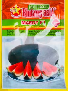 Benih Semangka MARDY BIG MARDY F1 Toleran Virus Dari Bintang Asia Kemasan 20 Gram