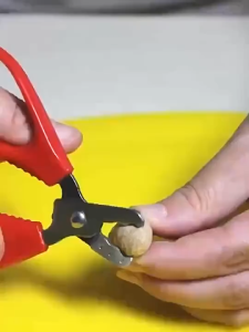 Stainless Steel Melon Seeds Nut Sheller Walnut Pine Sheller Nutcracker Pine Plier Scissor Kitchen