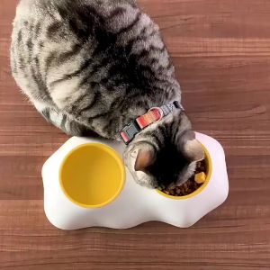 2-in-1 Pet Feeding & Water Bowl: A Comprehensive Guide