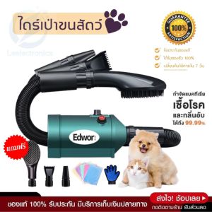 ประกัน 1ปี ไดร์เป่าขนสูงสุนัขและแมว/ไดร์เป่าขน: รวม 4 รูปแบบ คุณภาพและเครื่องลับได้ตลอดเวลา