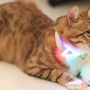 ปลอกคอสายรุ้งพาสเทลมีไฟ ปลอกคอสุนัข ปลอกคอแมว รุ่นเรืองแสงกระพริบ C070