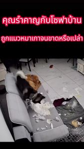 [GIORGIO ARMANI MALL]พรมทรงกลม สกรีนลาย ลาย แผ่นเสียง/ ขนาด 60x60 cm/ 80x80 cm.