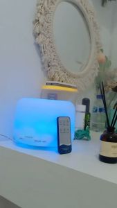 Diffuser untuk Kamar Humidifier Diffuser Tahan Lama Dehumidifier Pewangi Lembab Ruangan Humidifier