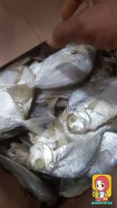 COD ikan asin petek super 1 kg