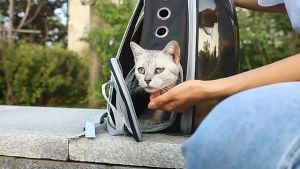 กระเป๋าแมว กระเป๋าใส่สัตว์​เลี้ยง ทรงอวกาศ กระเป๋าสะพายสุนัขและแมว มีรูระบายอากาศ กระเป๋าเป้ใส่สัตว์​เลี้ยง รุ่น Clear type