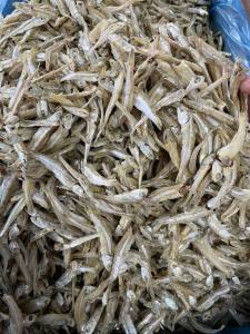 Ikan Bilis Batang putih (Rangup) ikan bilis tempatan |500gm/pack ‼️