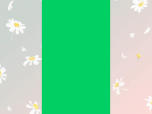 Knorr Profesional 1kg Beef Seasoning Powder: Bumbu Rasa Sapi Kemasan Besar