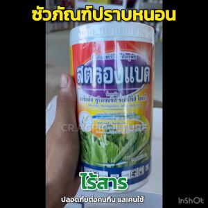 สตรองแบค ( บาซิลลัส ทูริงเยนซิส สายพันธุ์ไอซาไว)  สารกำจัดหนอน สารชีวภัณฑ์ หนอนใย หนอนเจาะ หนอนคืบ หนอนกระทู้ ขนาด 500 กรัม