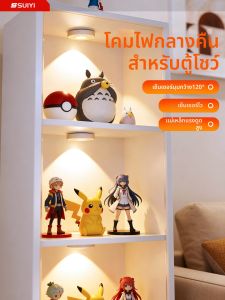 SUIYI | Remote Control Rechargeable Wireless LED Spot Light