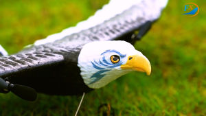 เครื่องบินบังคับ 2.4G เครื่องบินนกอินทรี ควบคุมด้วย WIFI โฟมเครื่องร่อน REMOTE CONTROL เพราะเป็นเครื่องบินนกอินทรี เพื่อเล่นเด็กผู้ชาย