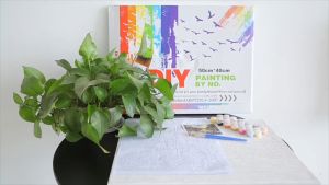 DIY Acrylic Paint by Number Animals and Landscape designs. Perfect or All occasions Gift. Canvass on Frame already with hook and screw. 40cm c 50cm