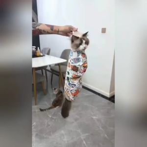 KUMAま ผ้าห่อตัวห่อตัวแมว ดิ้นไม่หลุด กันข่วน ป้อนยา ตัดเล็บ ผ้าพันตัว ลาย Happy Moments ผ้าห่ม หมา แมว ผ้าเช็ดตัวสัตว์เลี้ยง