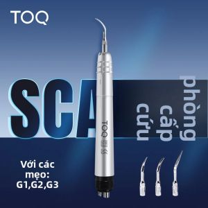 Đầu Tay Khoan Nha Khoa AS2000 Với 3 Đầu Borden 2 lỗ/Midwest 4 Lỗ Bút Làm Trắng G1/G2/G3 Dụng Cụ Lấy Cao Răng Cho Chăm Sóc Răng Miệng