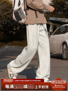 Grey Casual Straight Leg Mens Sweatpants Spring Autumn Heavyweight Sporty Teen Boys Long Trousers Fashionable Youthwear