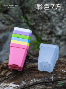 Thickened Plastic Succulent Plant Pots with Tray Multi-color School Nursery Activity Flower Planting Pots Simple Style Greenery