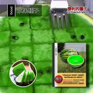 1 Pack (50 Biji) Benih Semangka Hijau Chrimson Original import / Bibit Semangka unik & langka
