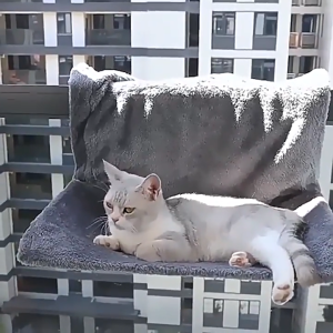 LDECO Plush Cat Hammock Bed - Cozy & Breathable Hanging Pet Bed for Indoor Cats Detachable Cat Nest for Bedside & Sofa