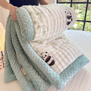 Double-Sided Fleece Washable Winter Quilt Bean Bag Adult Single Bed Warm Thermal Polyester Fiber Filling Durable Stitching
