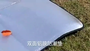 Waterproof Double-Sided Aluminum Moisture-Proof Mat 2*2Meter Picnic Mat Camping Hiking Sleeping Mat