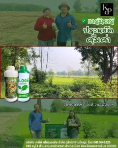 JJ JACK 12 ขวด ฮอร์โมนพืช  ช่วยเร่งใบ เร่งดอก เร่งผล บำรุง ฟื้นฟูต้น แตกราก แตกดอก แข็งแรง